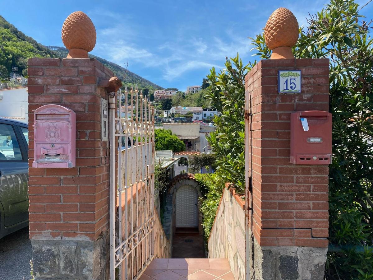 Villa Casa Wanda Ischia Exterior foto